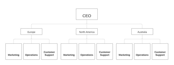 Divisional team structure