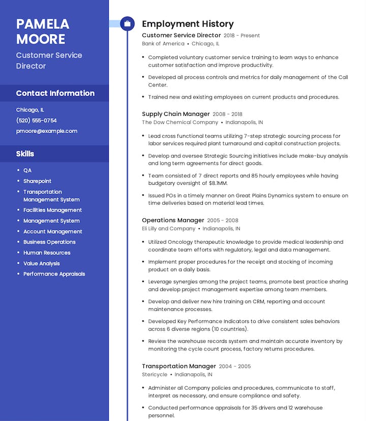 CS Resume Example - Director of customer service