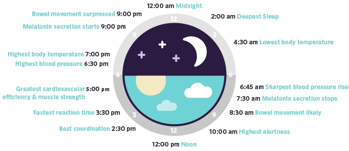 Circadian Rhythm